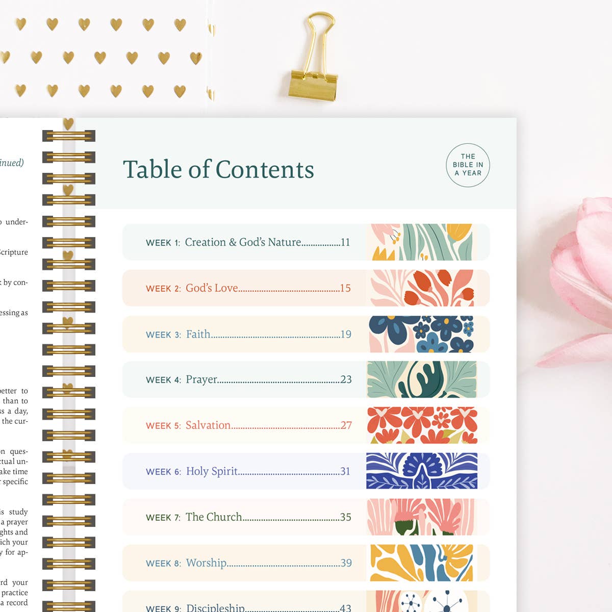 La Biblia en un Año: Estudio de 52 Semanas