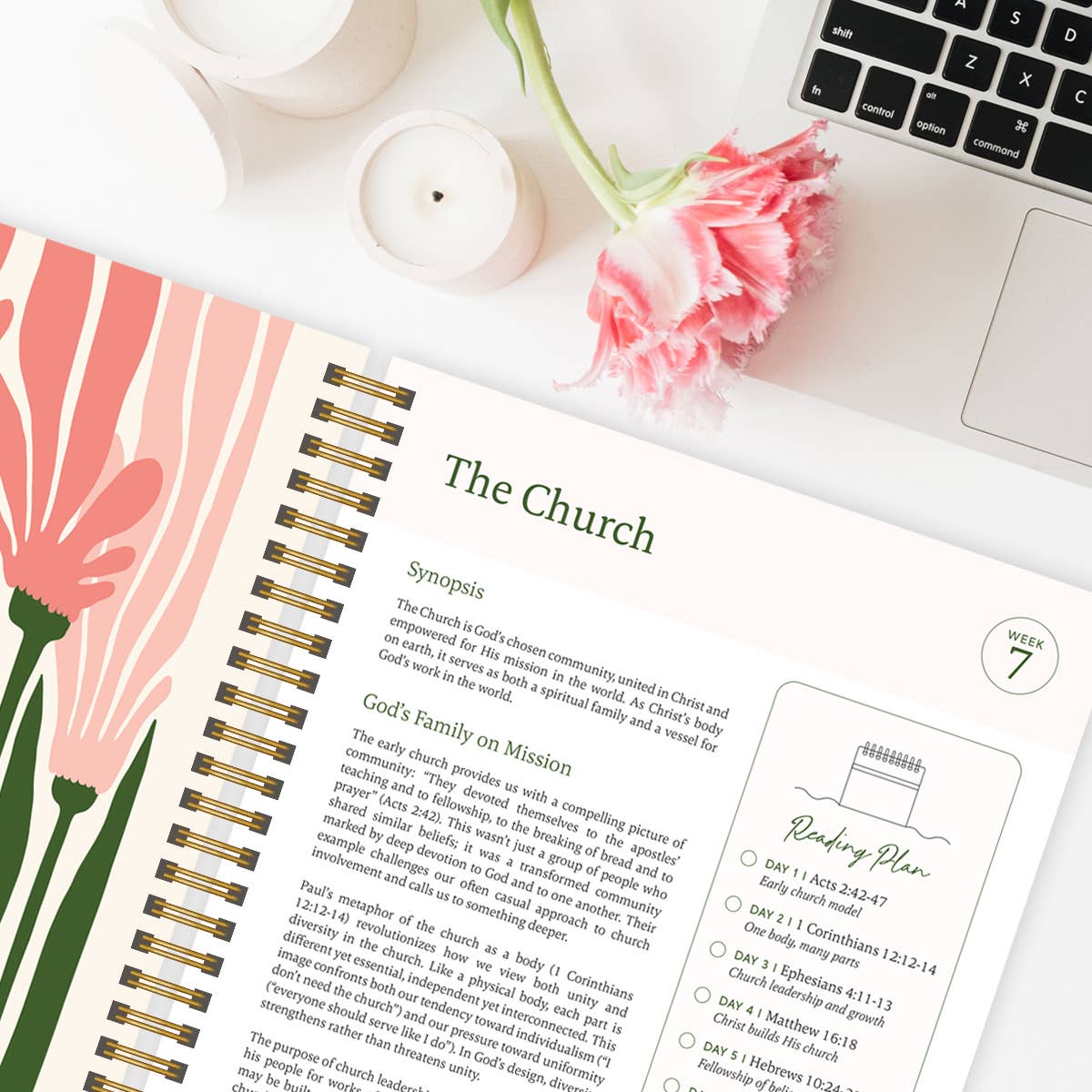 La Biblia en un Año: Estudio de 52 Semanas